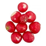 Radish Bunch