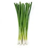 Fresh Green Onion Bunch,
