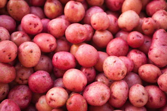 Red Potato
