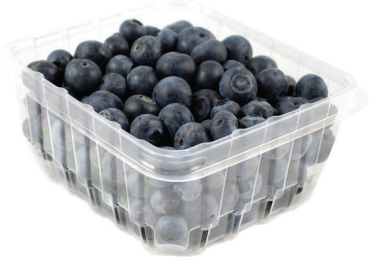 Fresh Blueberries
