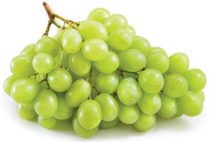 Grapes