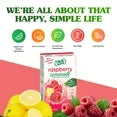 True Lemon Raspberry Lemonade Drink Mix Powder, No Artificial Sweeteners
