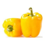 Yellow Pepper