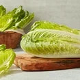 Romaine Lettuce Hearts